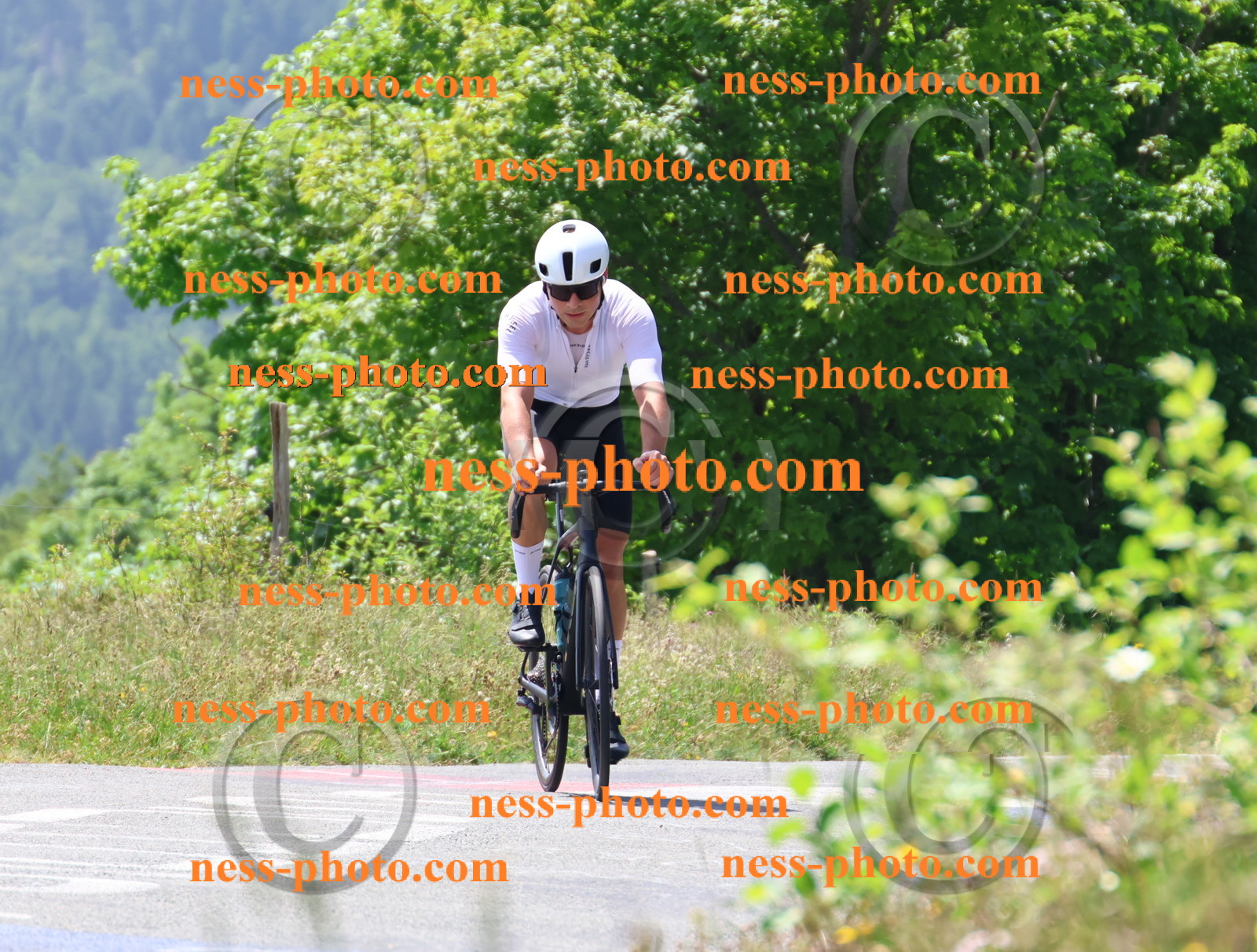 Col du grand Colombier (2482).JPG