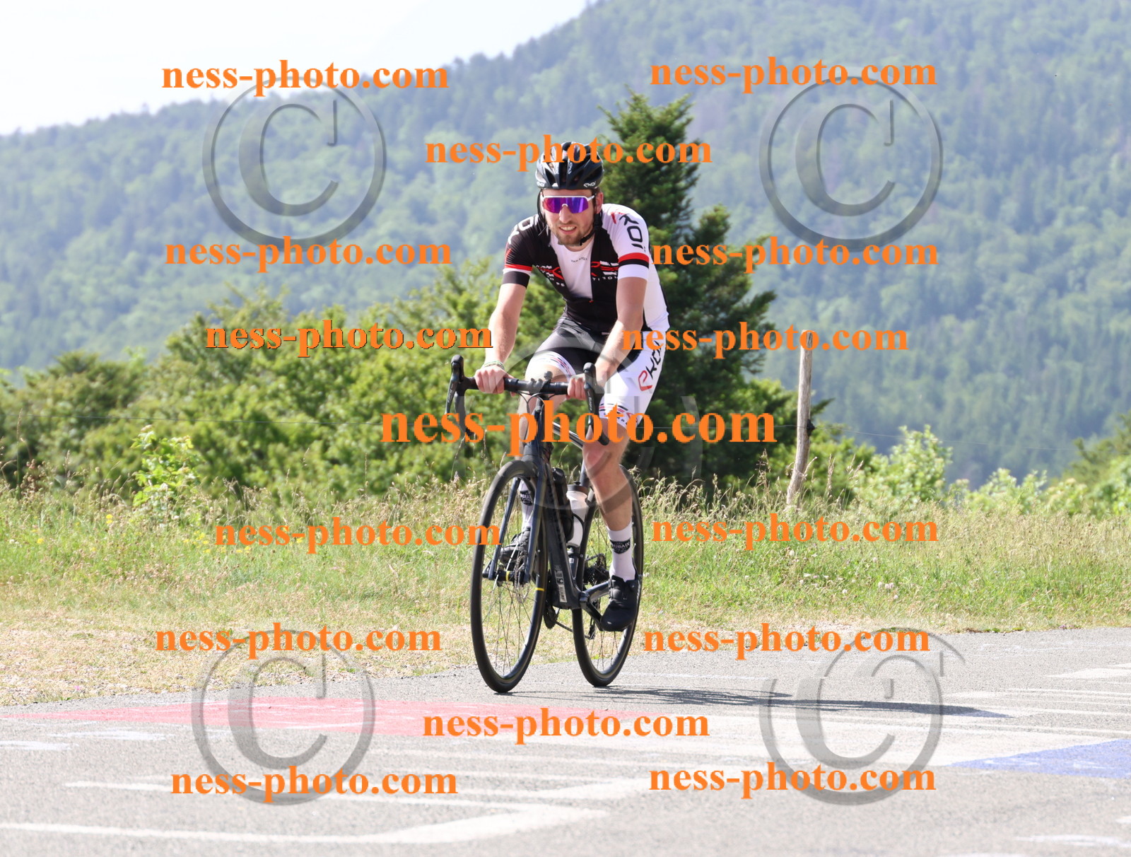 Col du grand Colombier (988).JPG