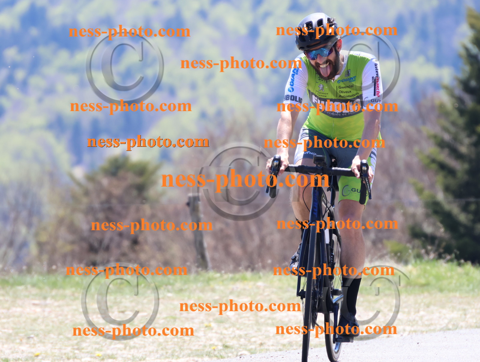 Col du Grand Colombier (529).JPG