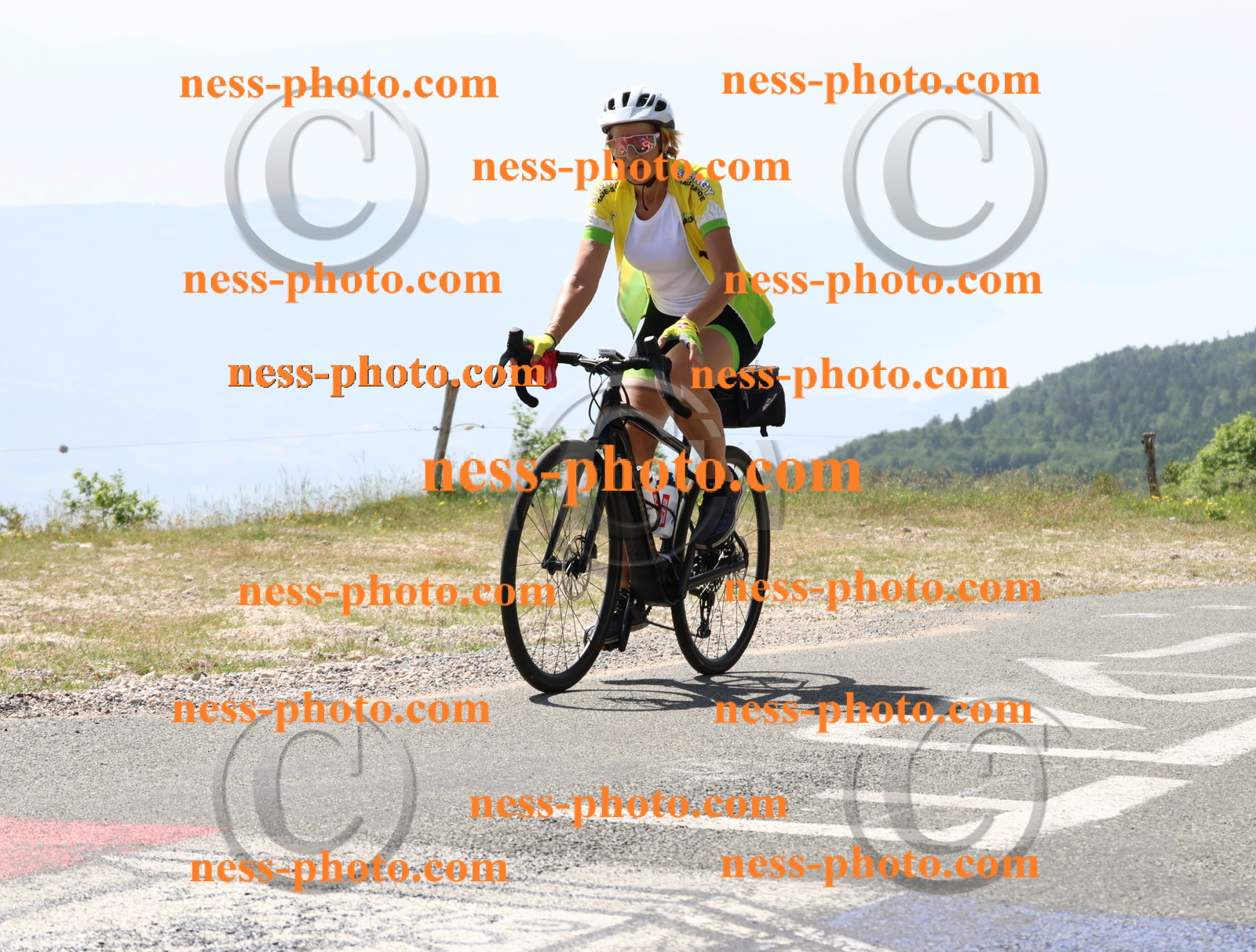 Col du grand Colombier (1496).JPG