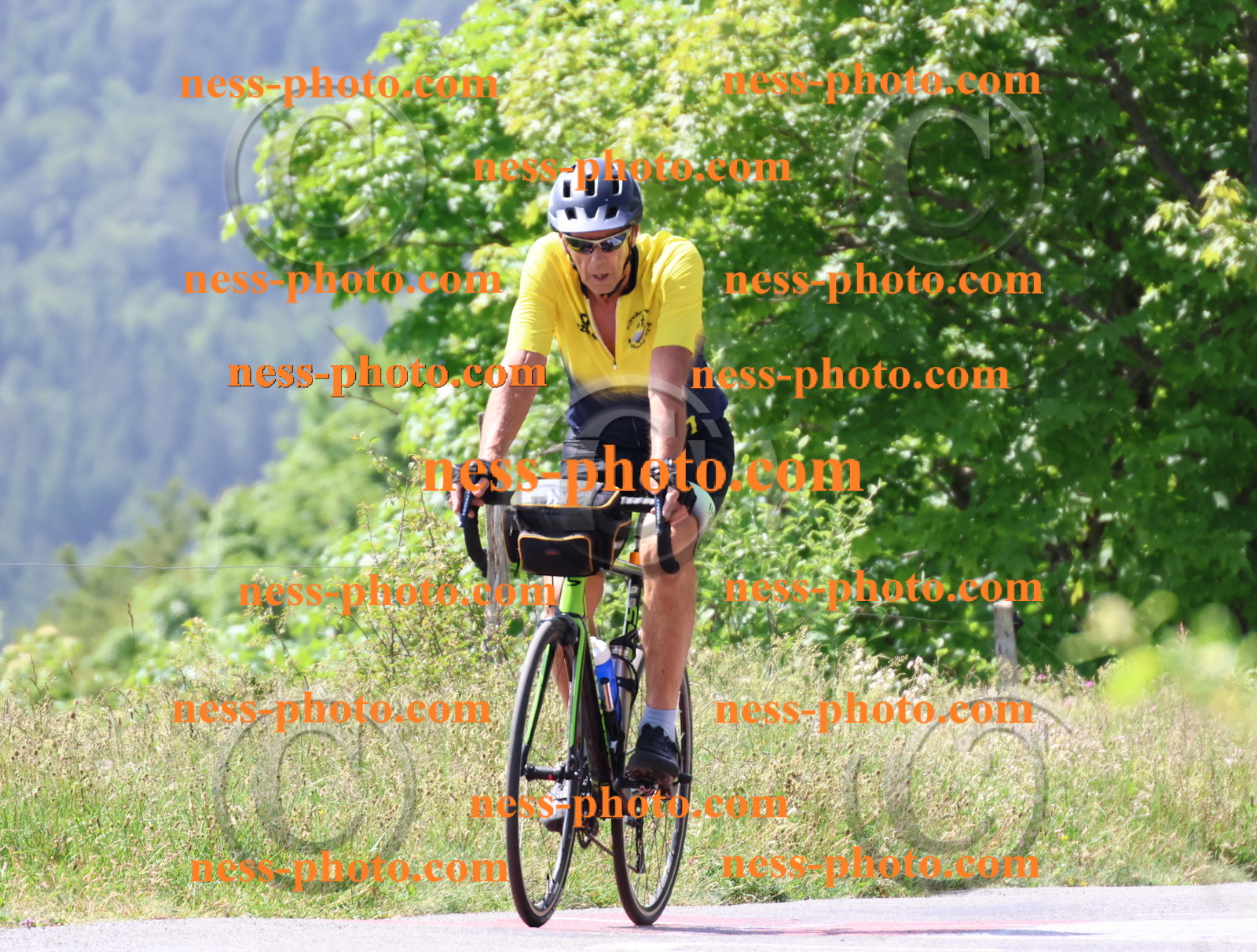 Col du grand Colombier (1579).JPG