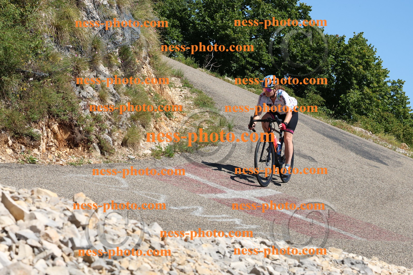 Col du Grand Colombier (662).JPG