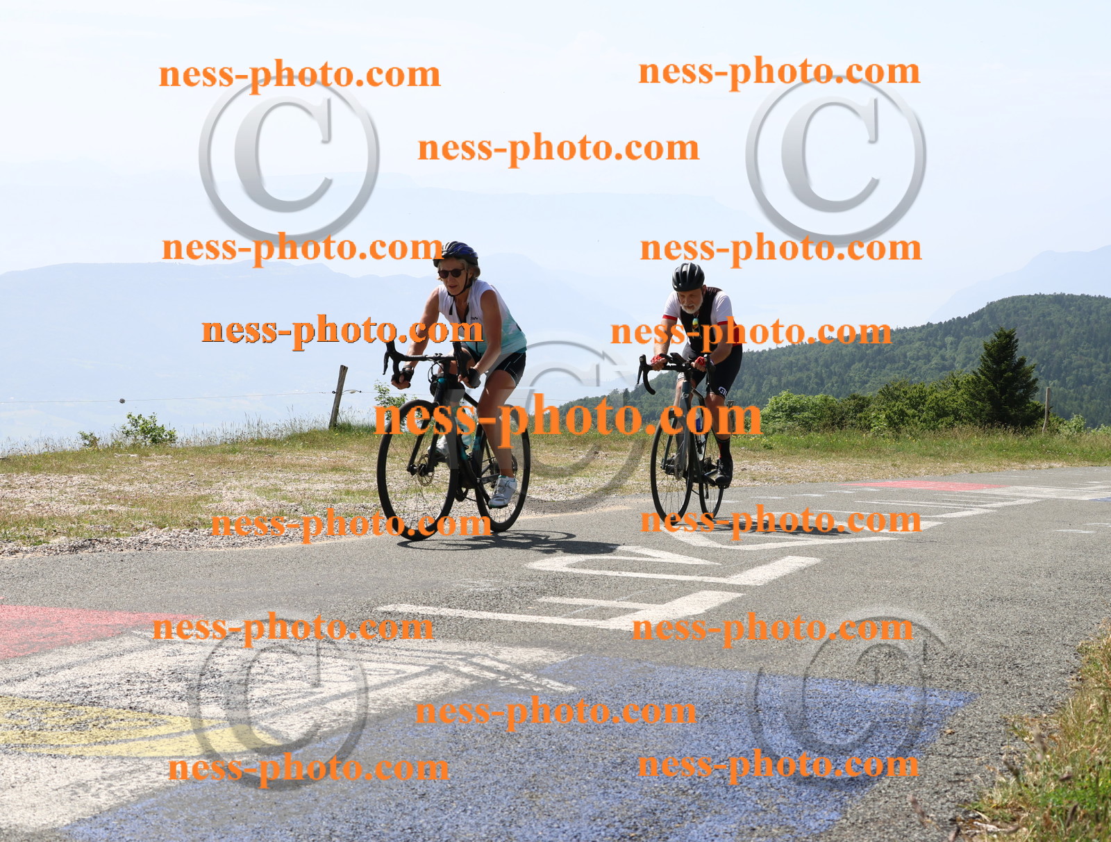 Col du grand Colombier (1487).JPG