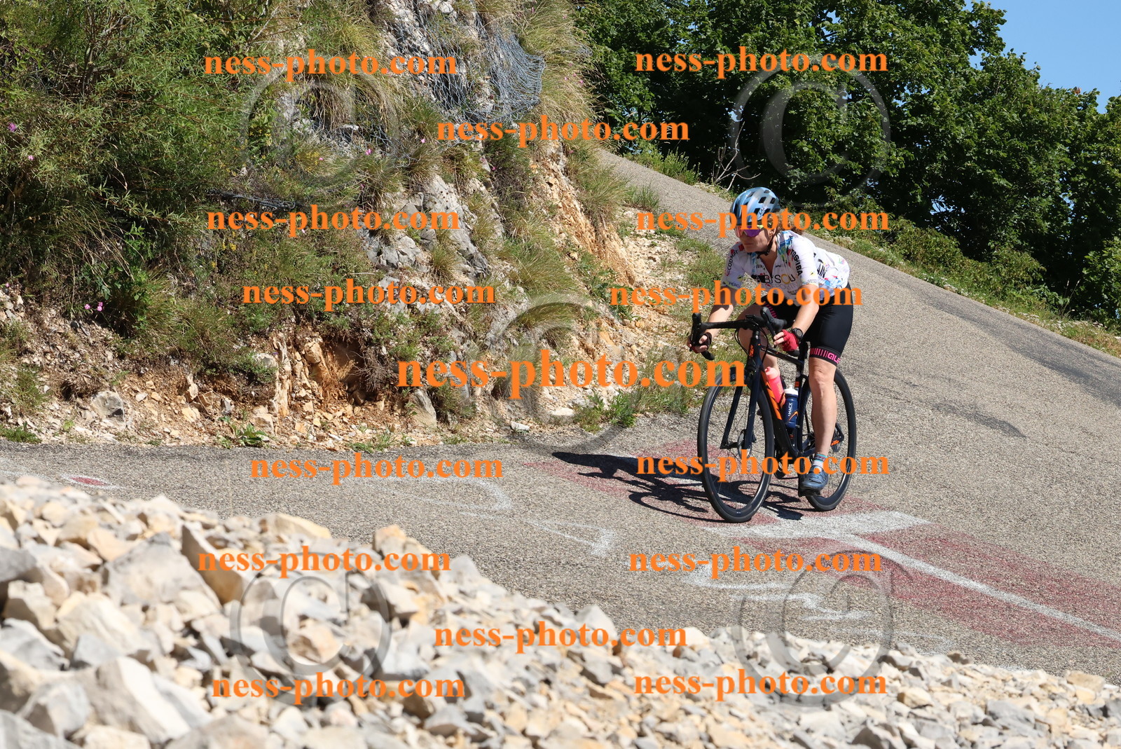 Col du Grand Colombier (664).JPG