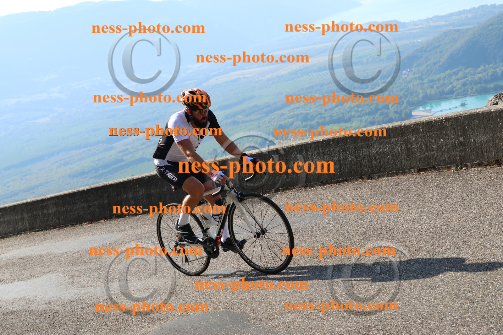 Col du Grand Colombier (1266).JPG