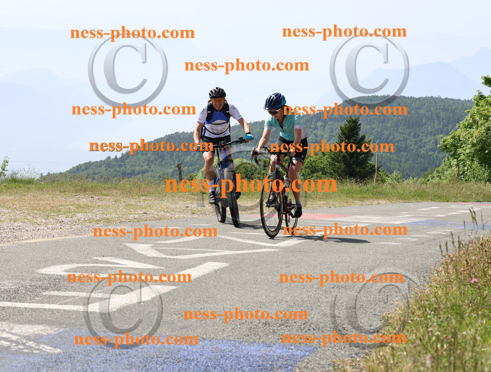 Col du grand Colombier (1511).JPG