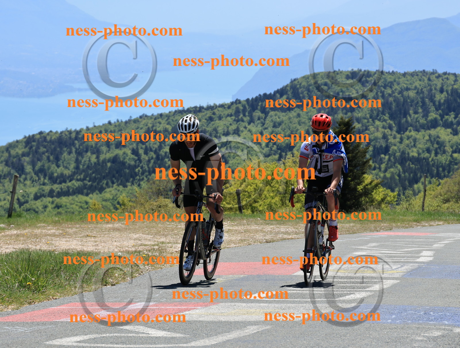 Col du Grand Colombier (385).JPG