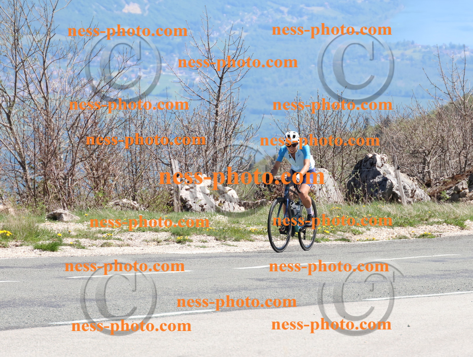 Col du Grand Colombier (913).JPG