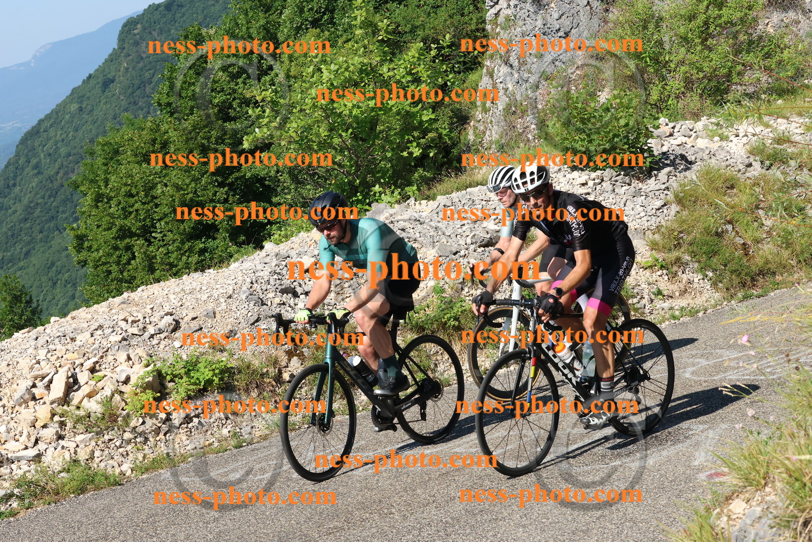 Col du Grand Colombier (187).JPG