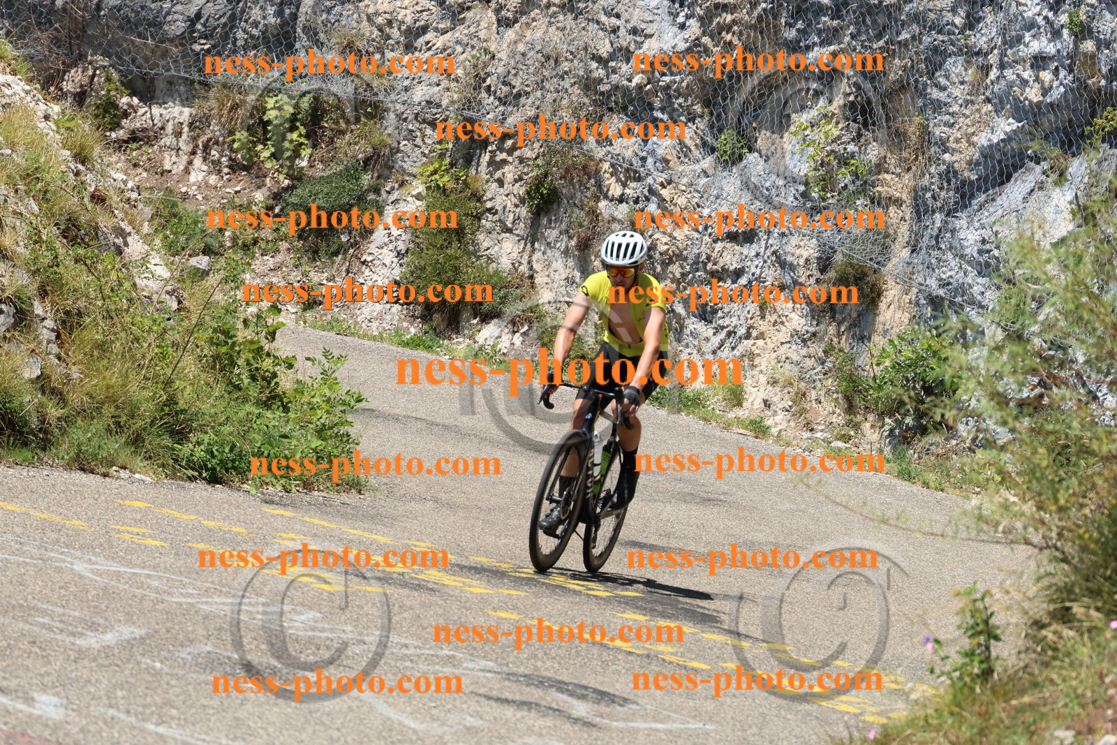 Col du Grand Colombier (562).JPG