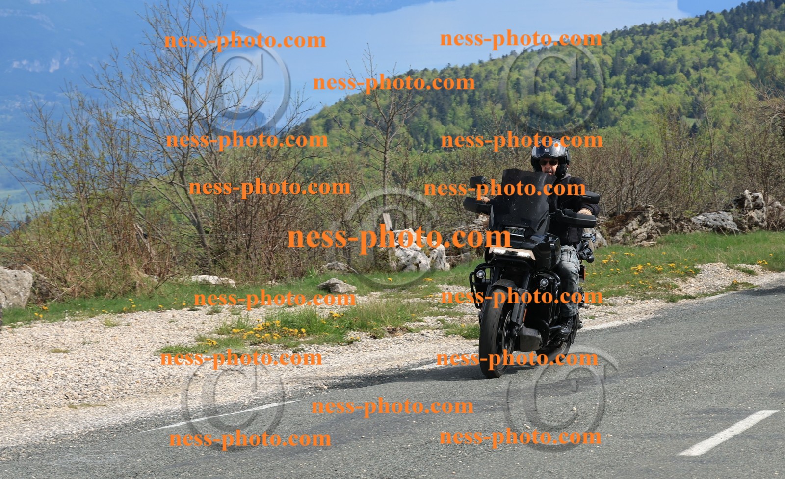 Col du Grand Colombier (255).JPG