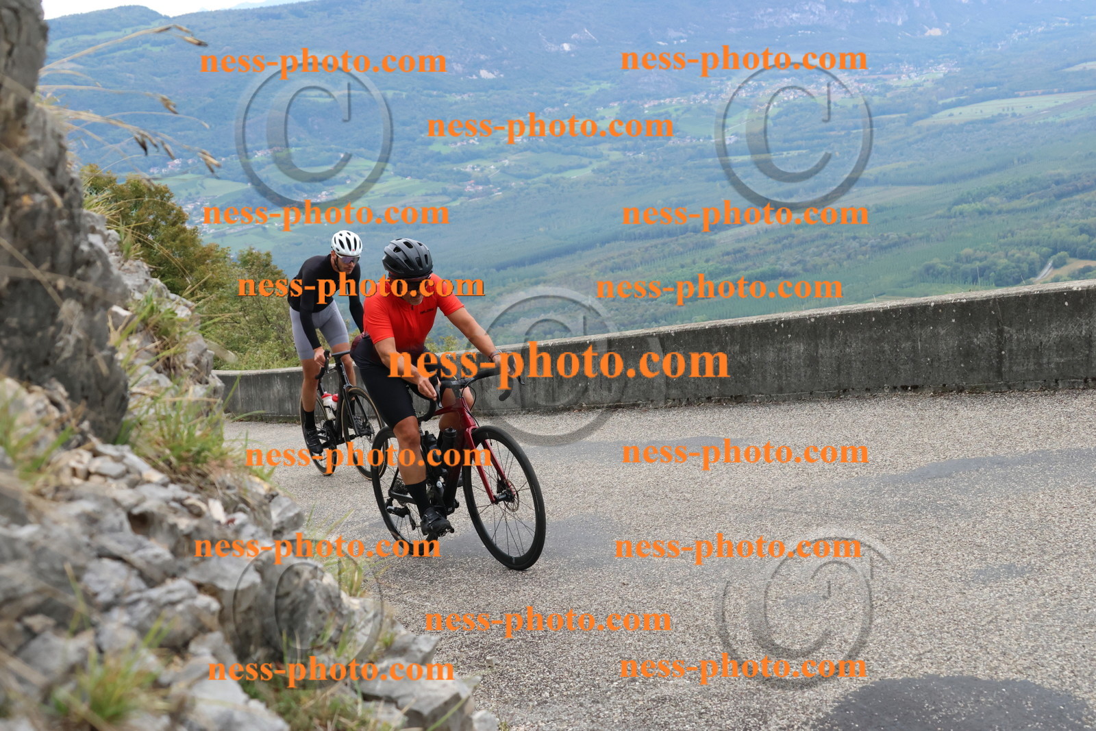 Col du Grand Colombier (1064).JPG