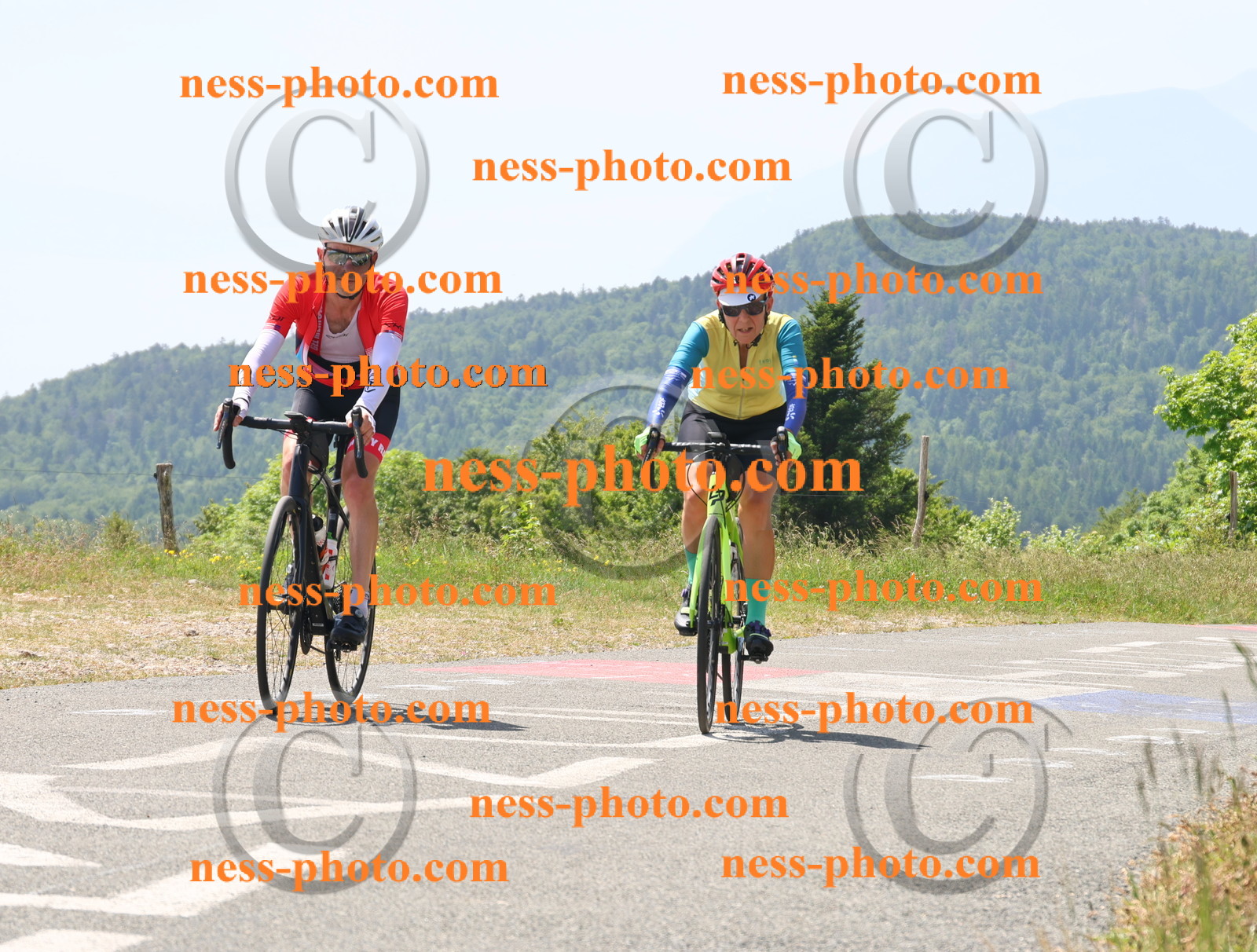 Col du grand Colombier (2288).JPG