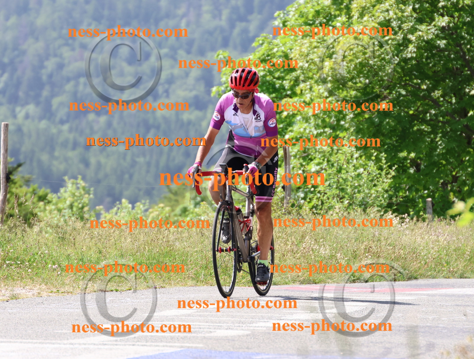 Col du grand Colombier (1263).JPG