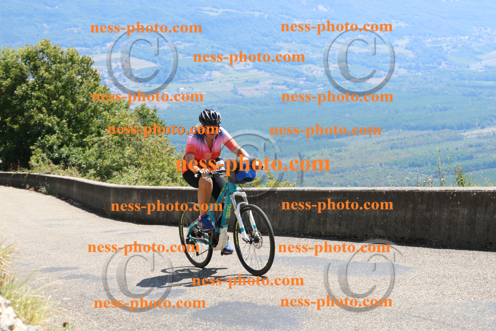 Col du Grand Colombier (481).JPG