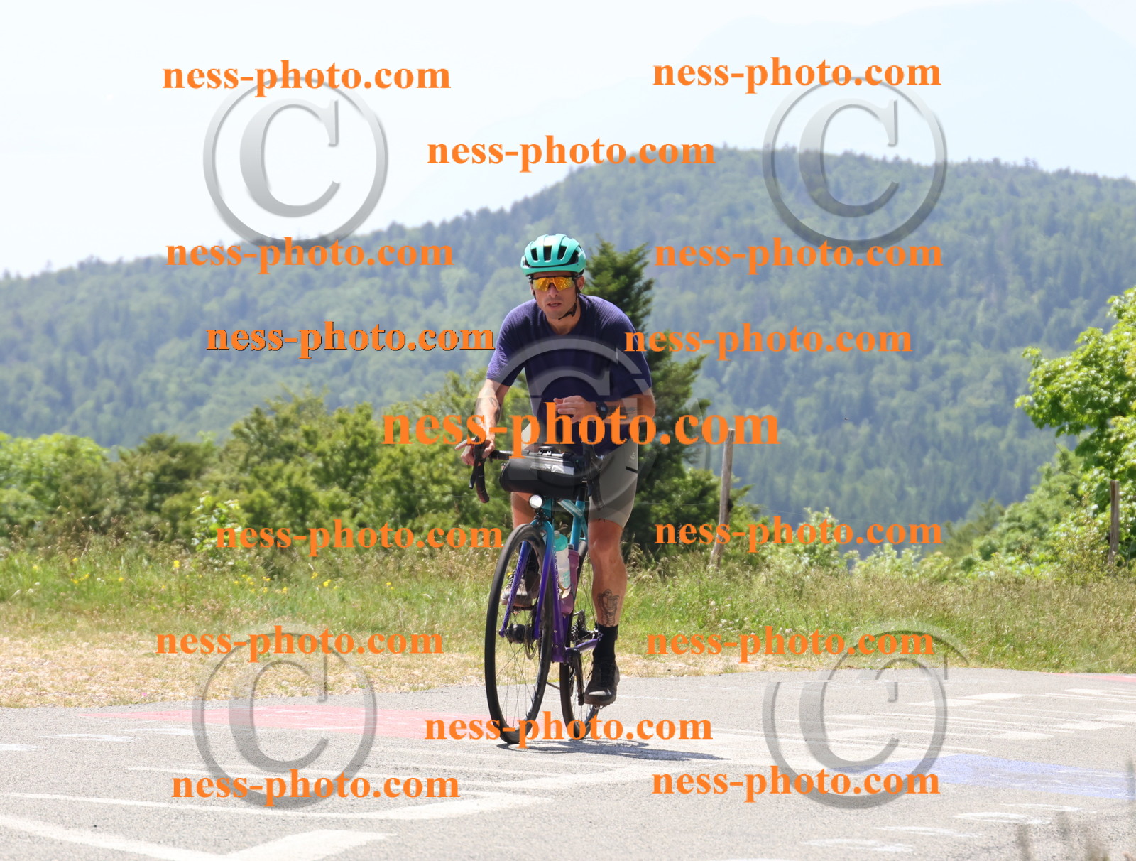 Col du grand Colombier (2560).JPG