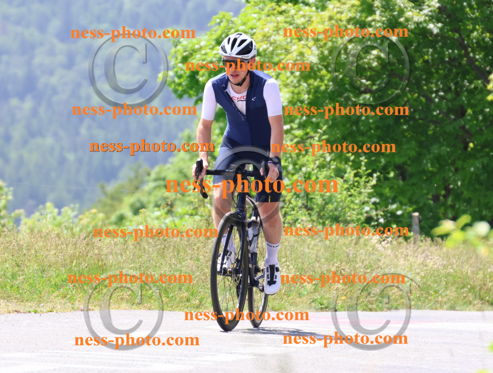 Col du grand Colombier (2426).JPG