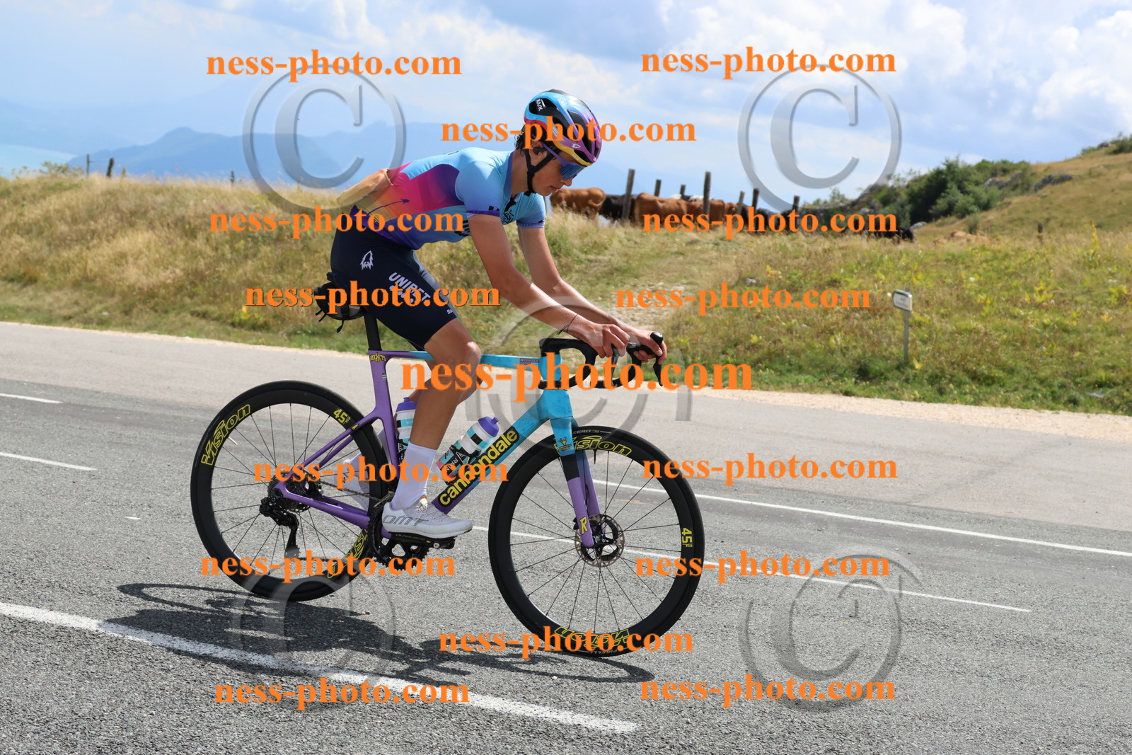 Col du Grand Colombier (258).JPG