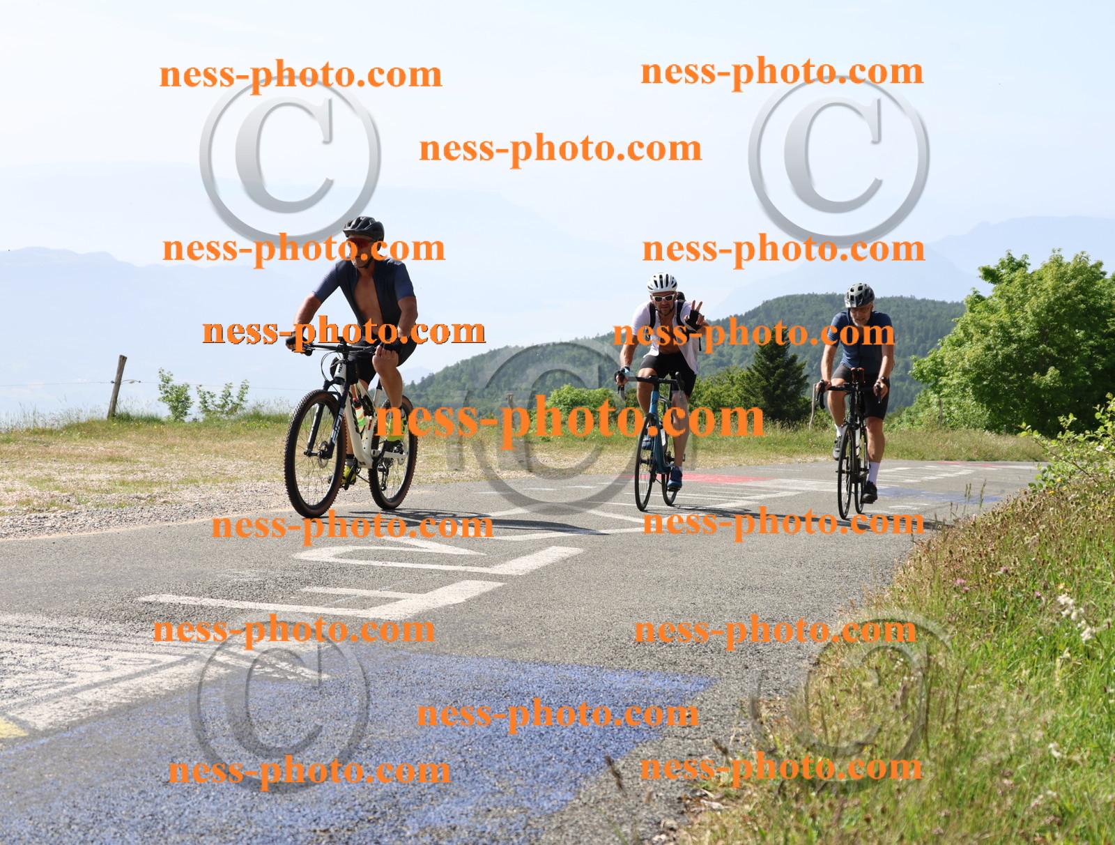 Col du grand Colombier (737).JPG