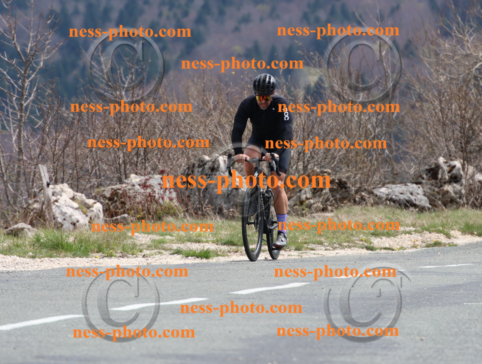 Col du Grand Colombier (393).JPG