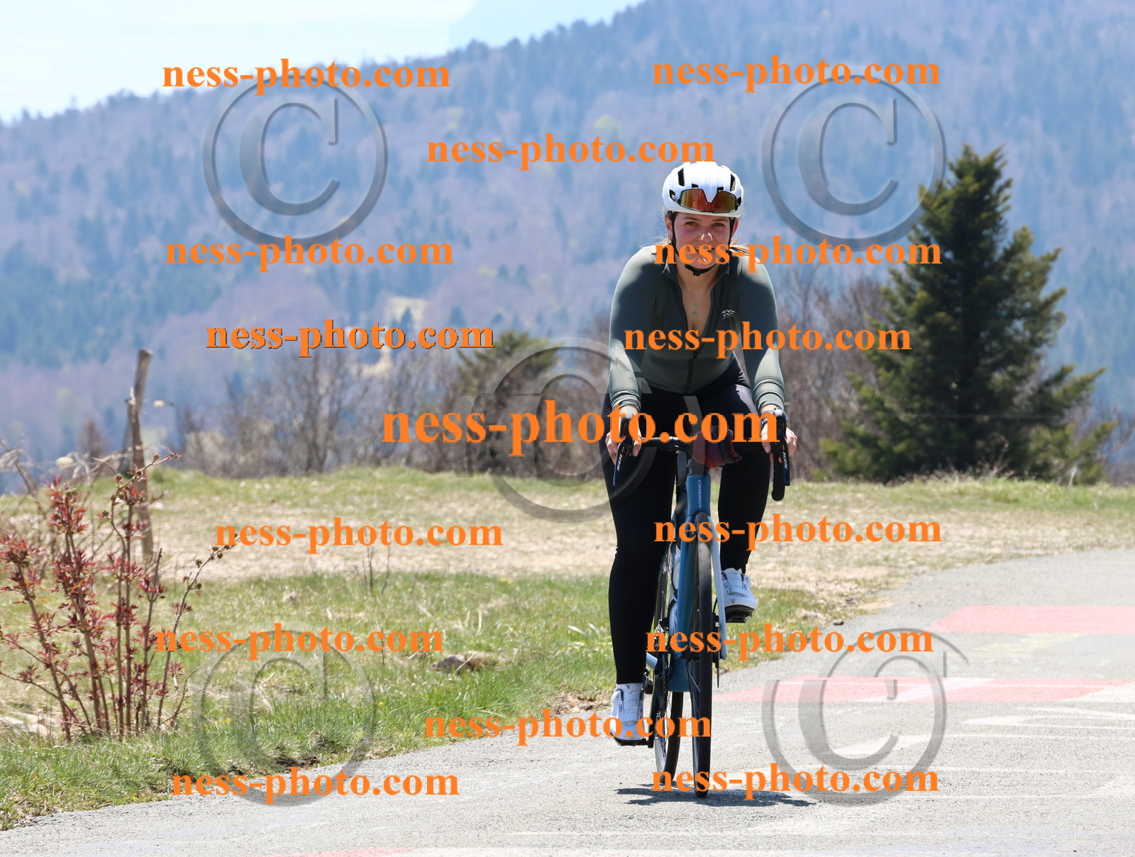 Col du Grand Colombier (255).JPG