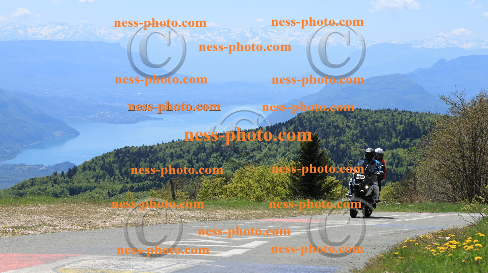 Col du Grand Colombier (38).JPG