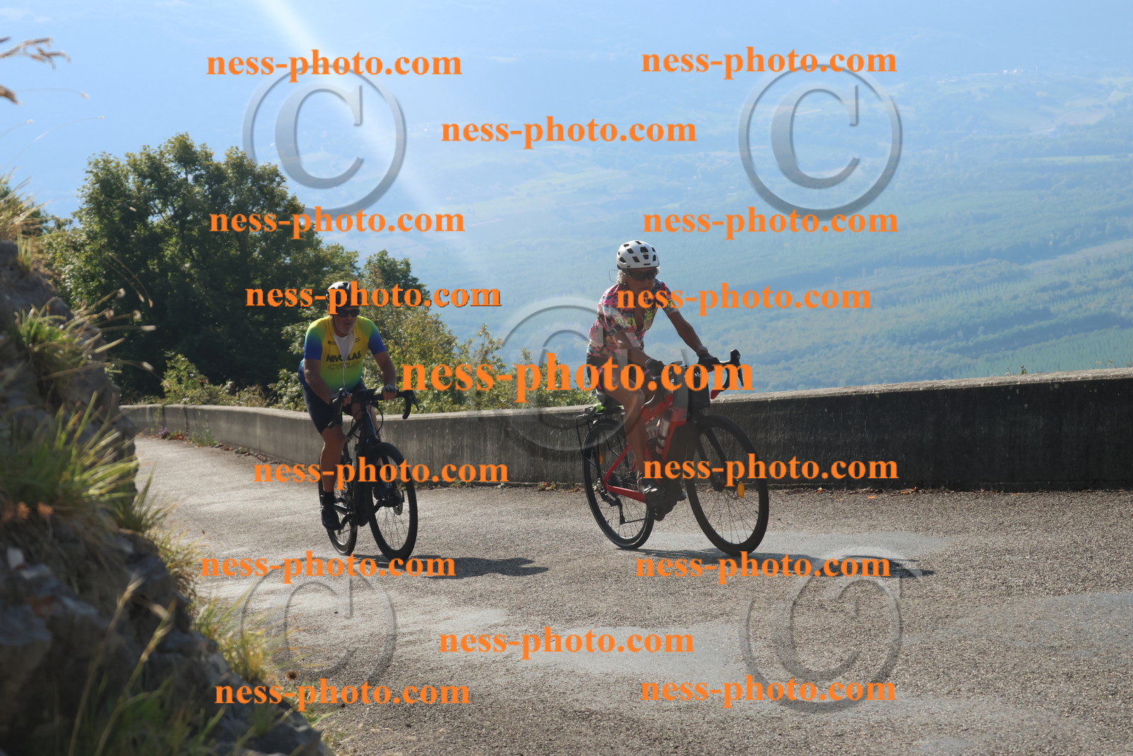 Col du Grand Colombier (1393).JPG