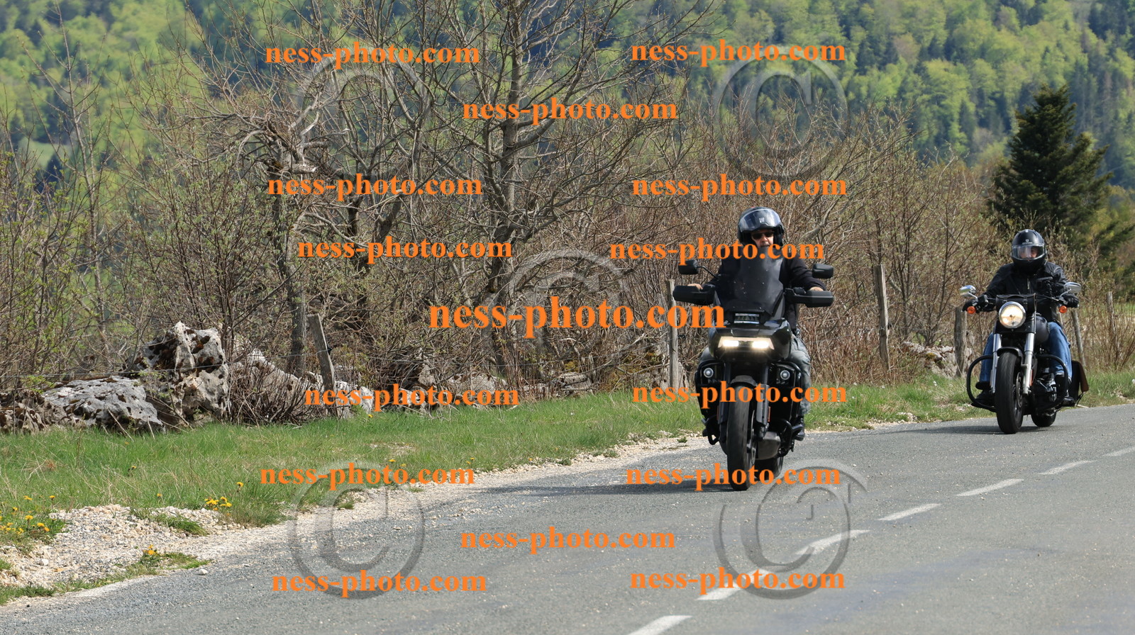 Col du Grand Colombier (253).JPG