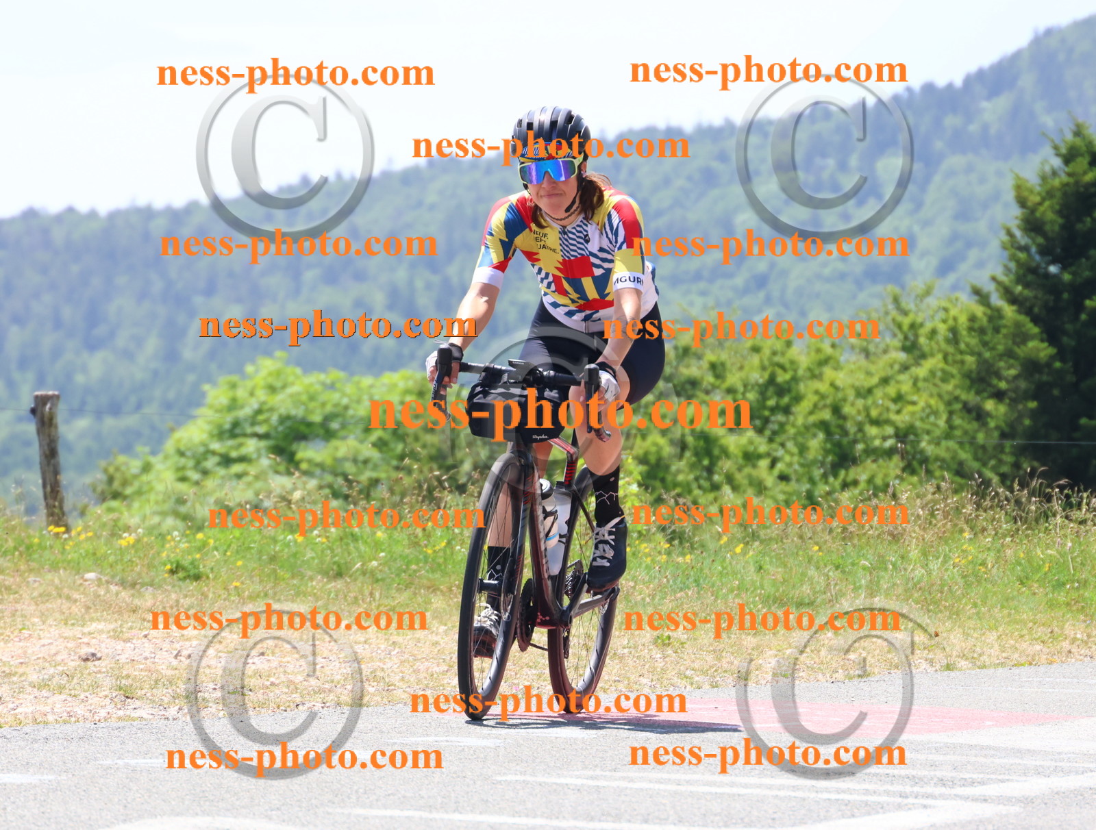 Col du grand Colombier (2588).JPG