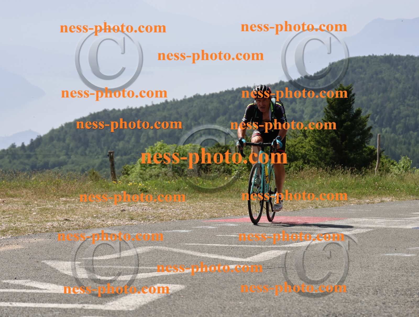 Col du grand Colombier (1481).JPG