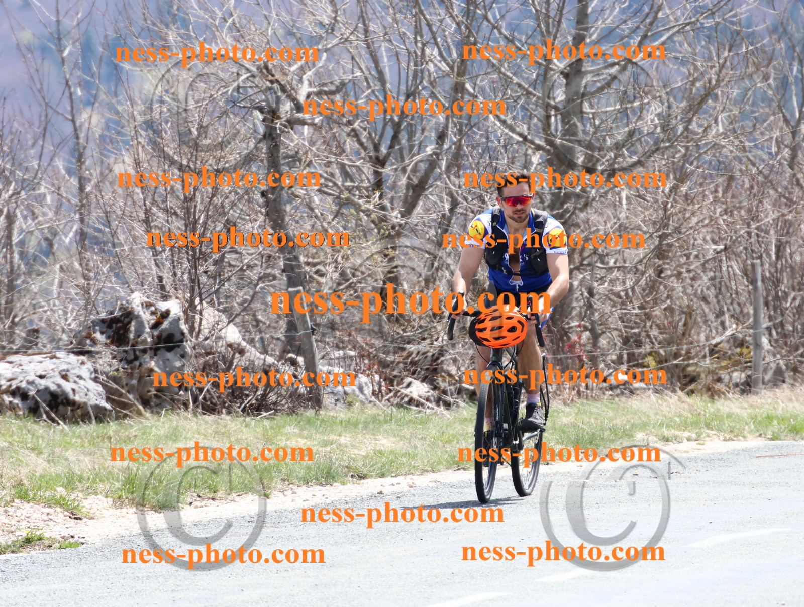 Col du Grand Colombier (352).JPG