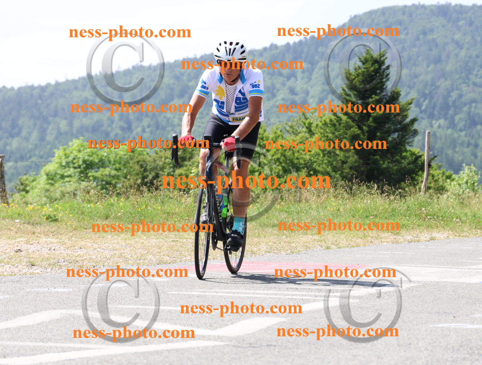 Col du grand Colombier (1255).JPG