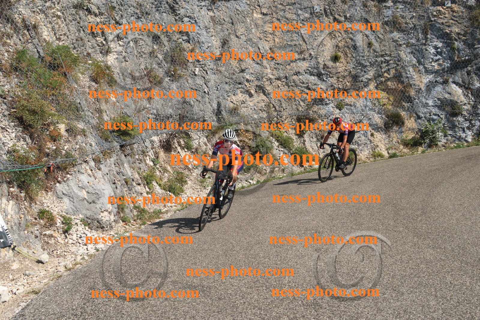 Col du Grand Colombier (2889).JPG