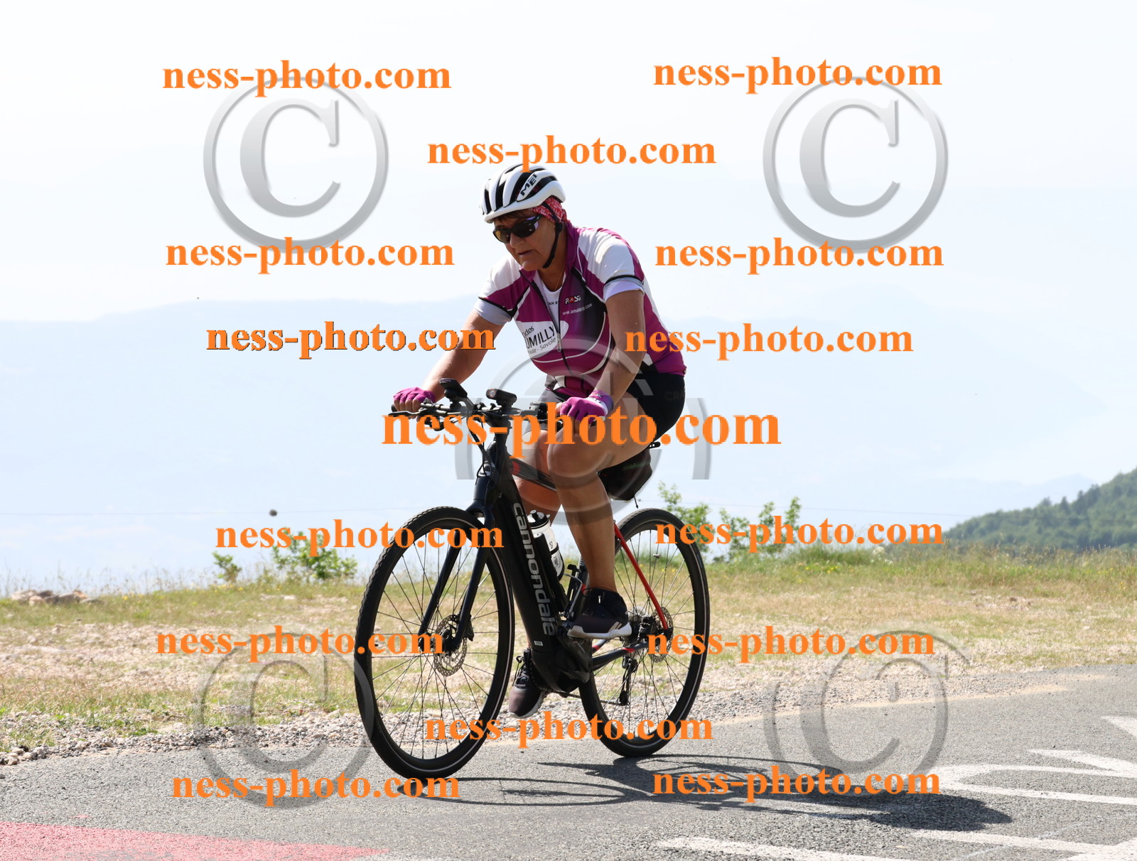 Col du grand Colombier (777).JPG