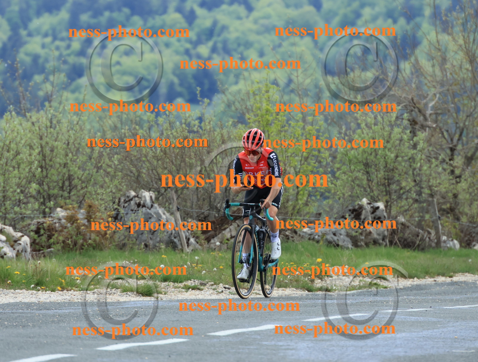 Col du grand Colombier (591).JPG