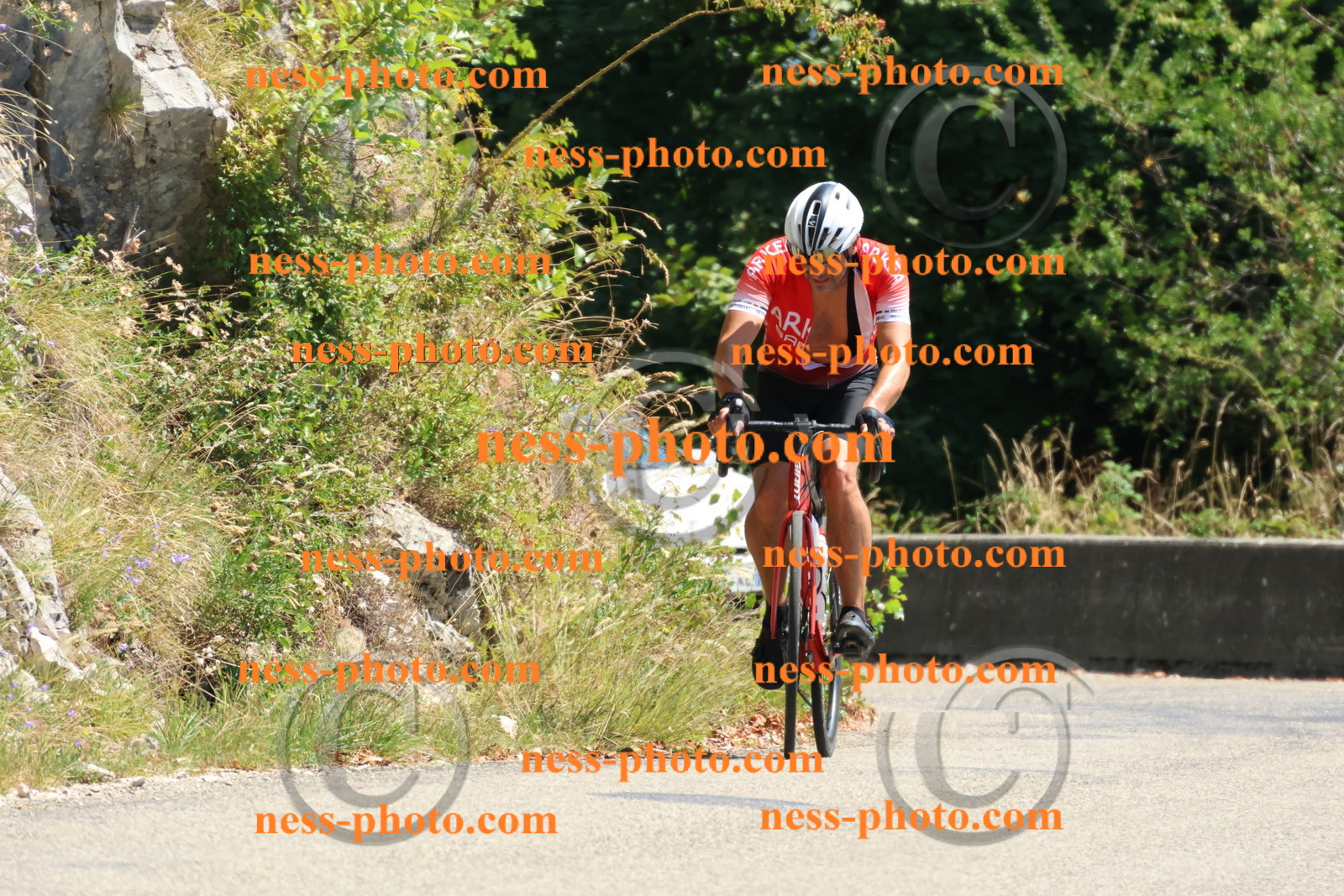 Col du Grand Colombier (455).JPG