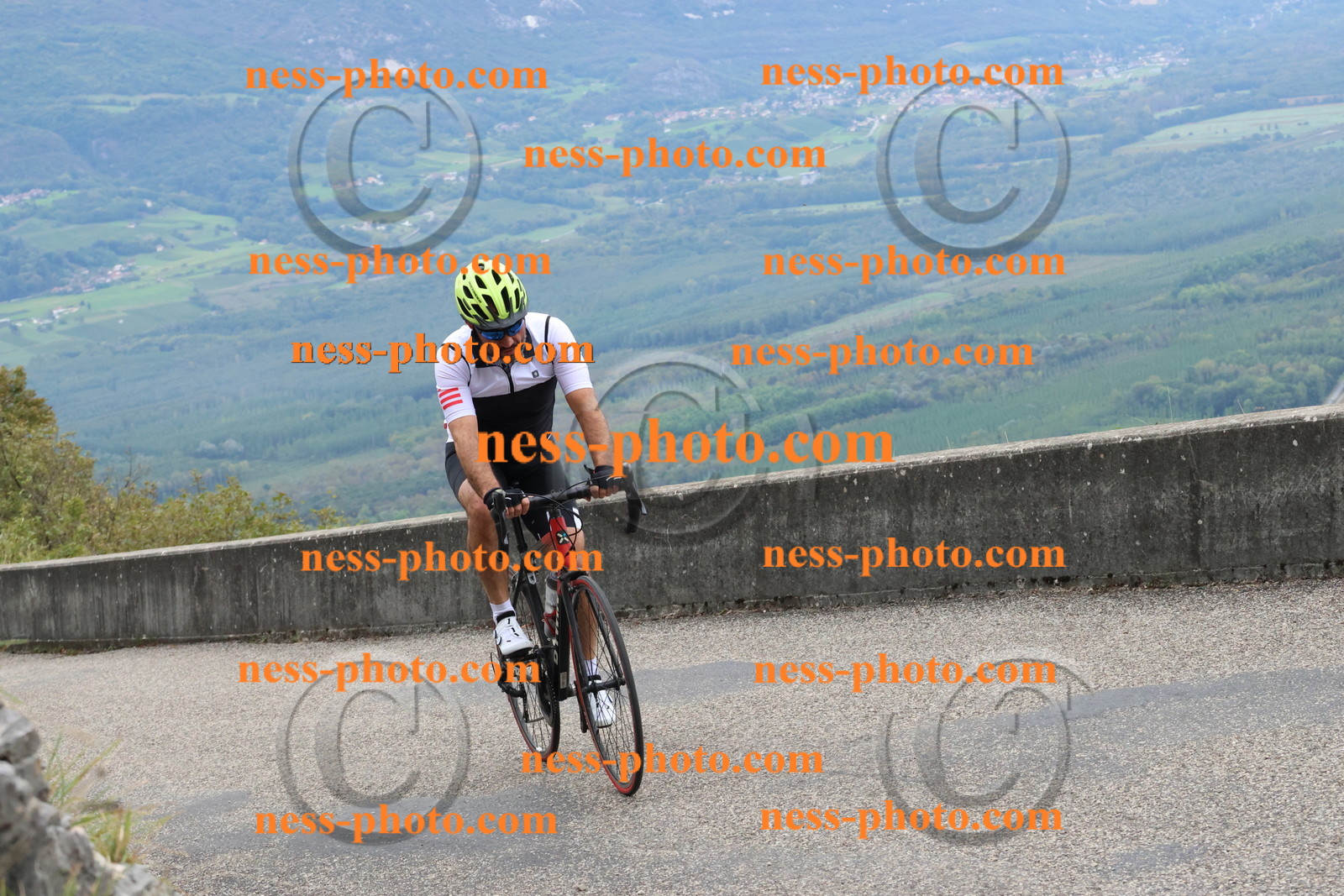 Col du Grand Colombier (1021).JPG