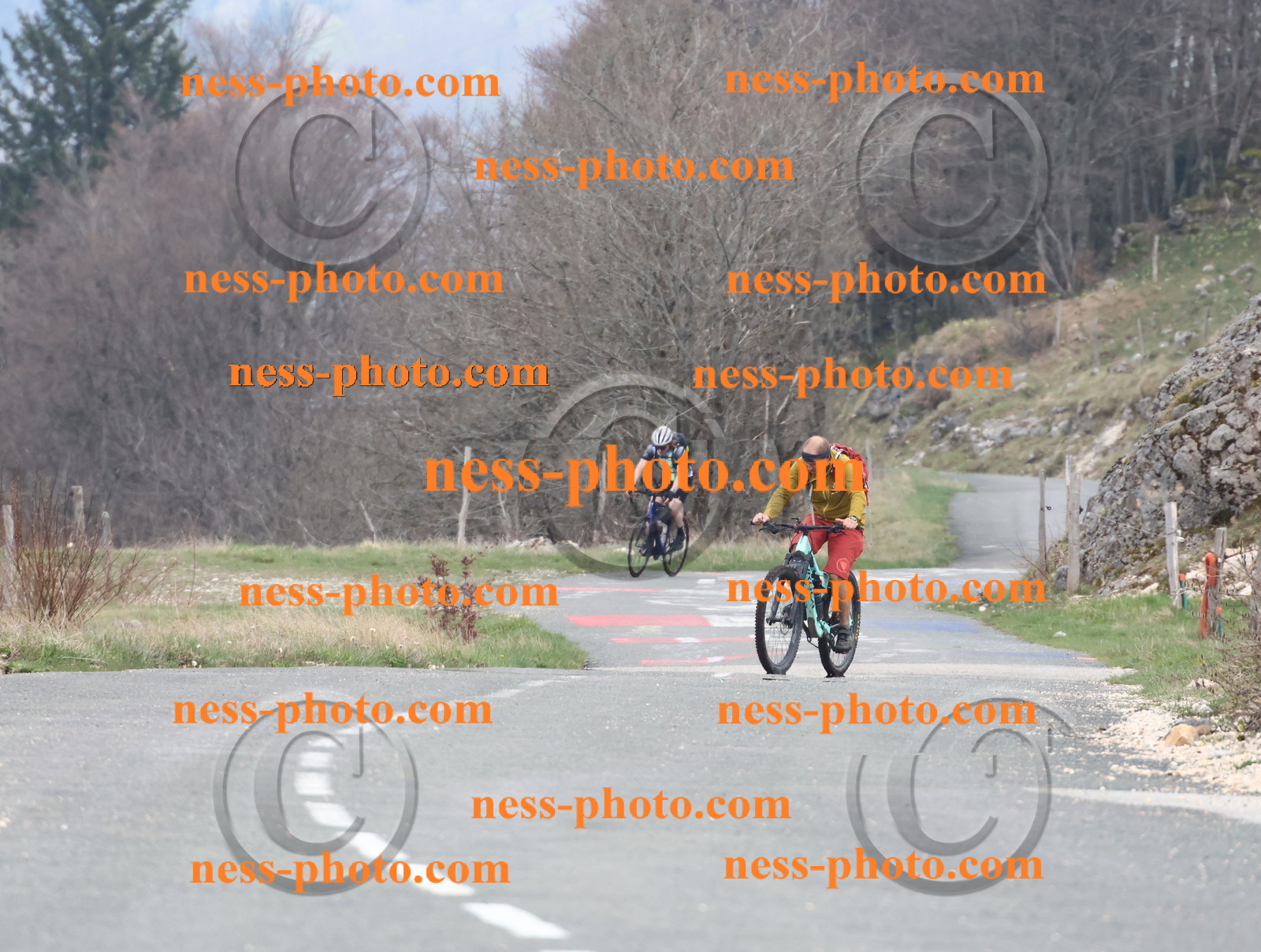 Col du Grand Colombier (73).JPG