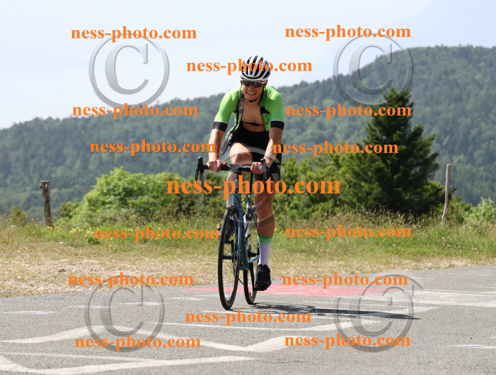 Col du grand Colombier (1344).JPG