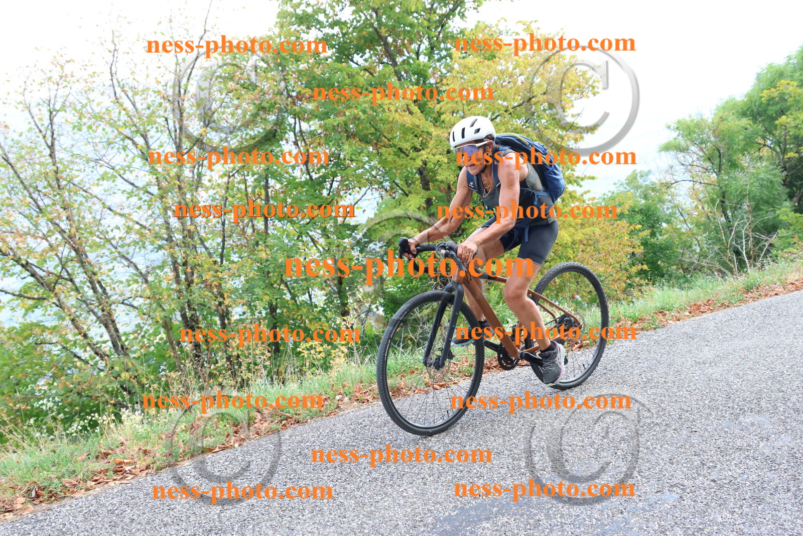 Col du Grand Colombier (732).JPG