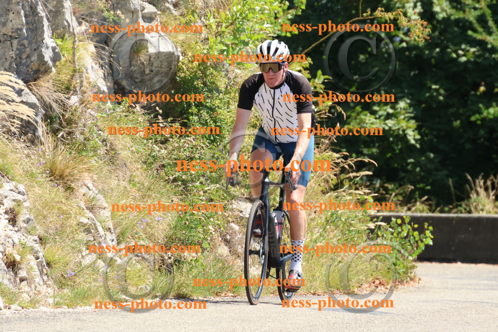 Col du Grand Colombier (494).JPG