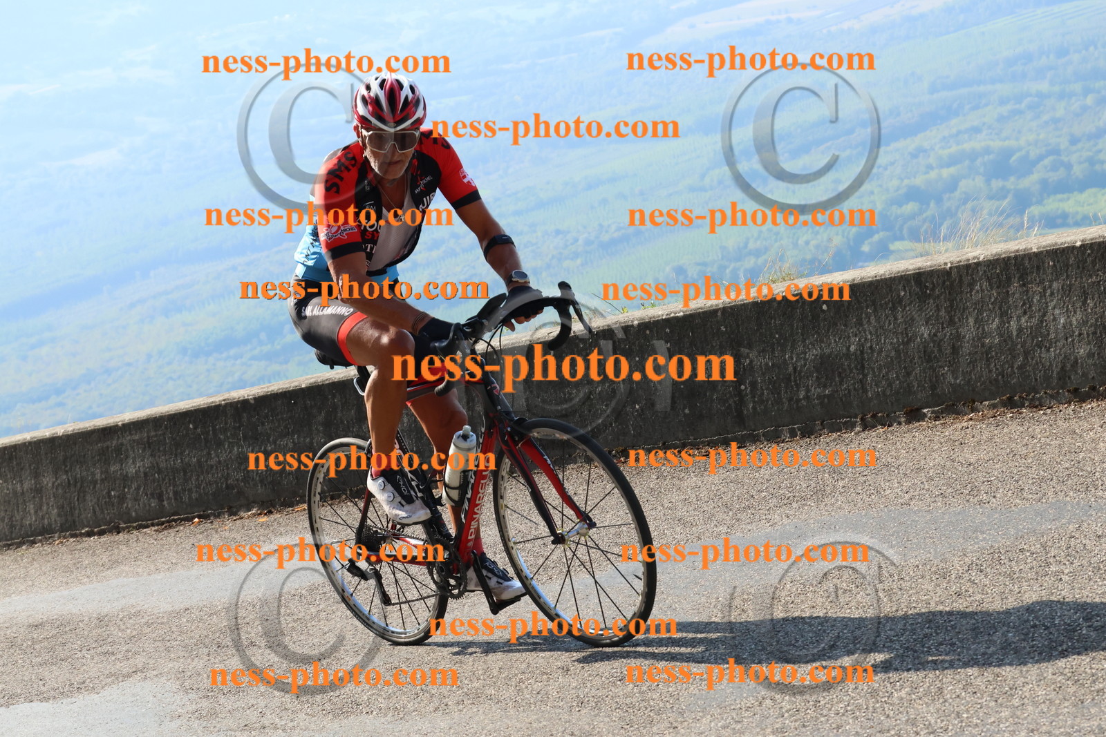 Col du Grand Colombier (1236).JPG