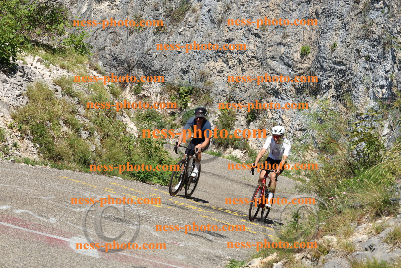 Col du Grand Colombier (364).JPG