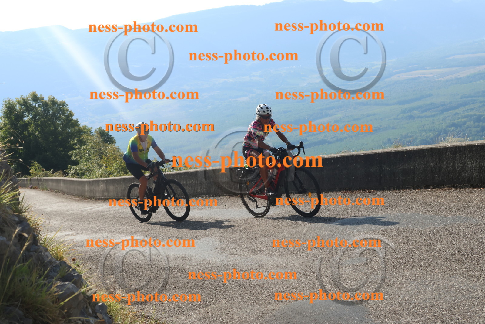 Col du Grand Colombier (1394).JPG