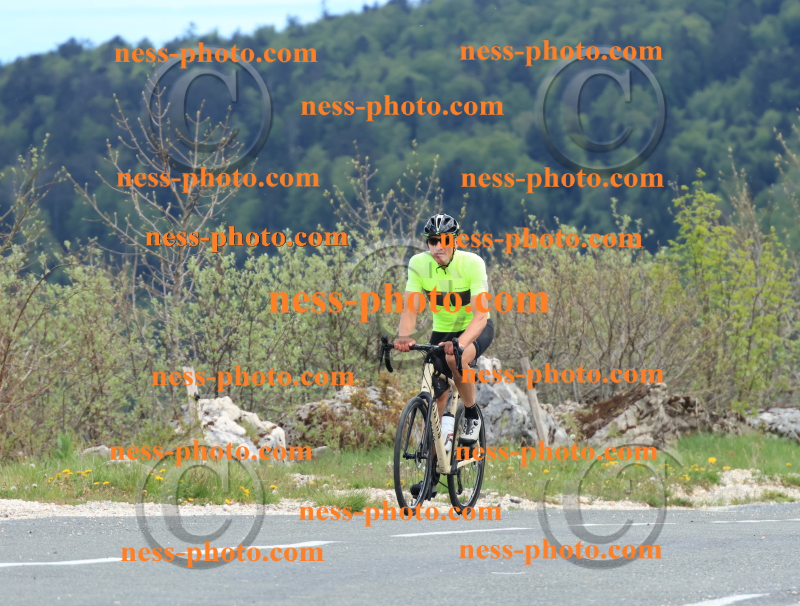 Col du grand Colombier (662).JPG