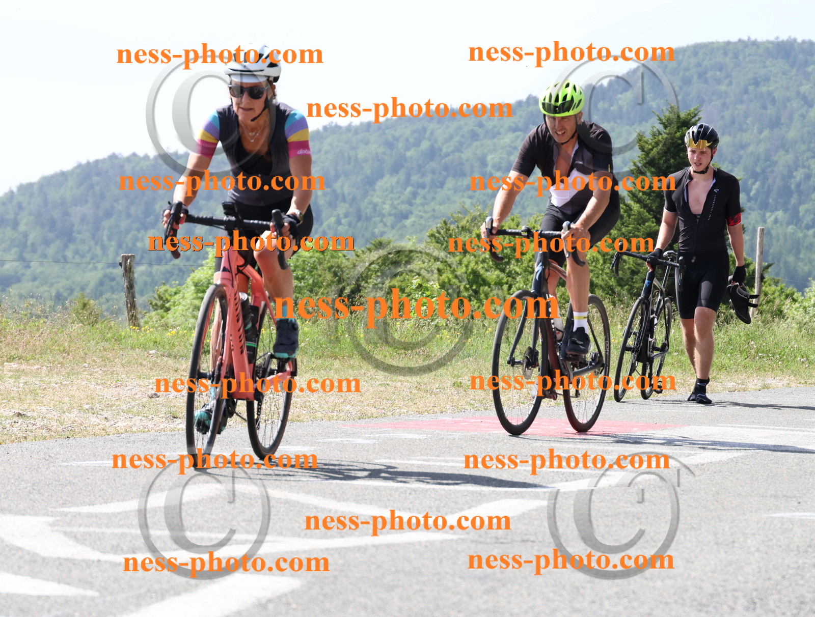 Col du grand Colombier (1184).JPG