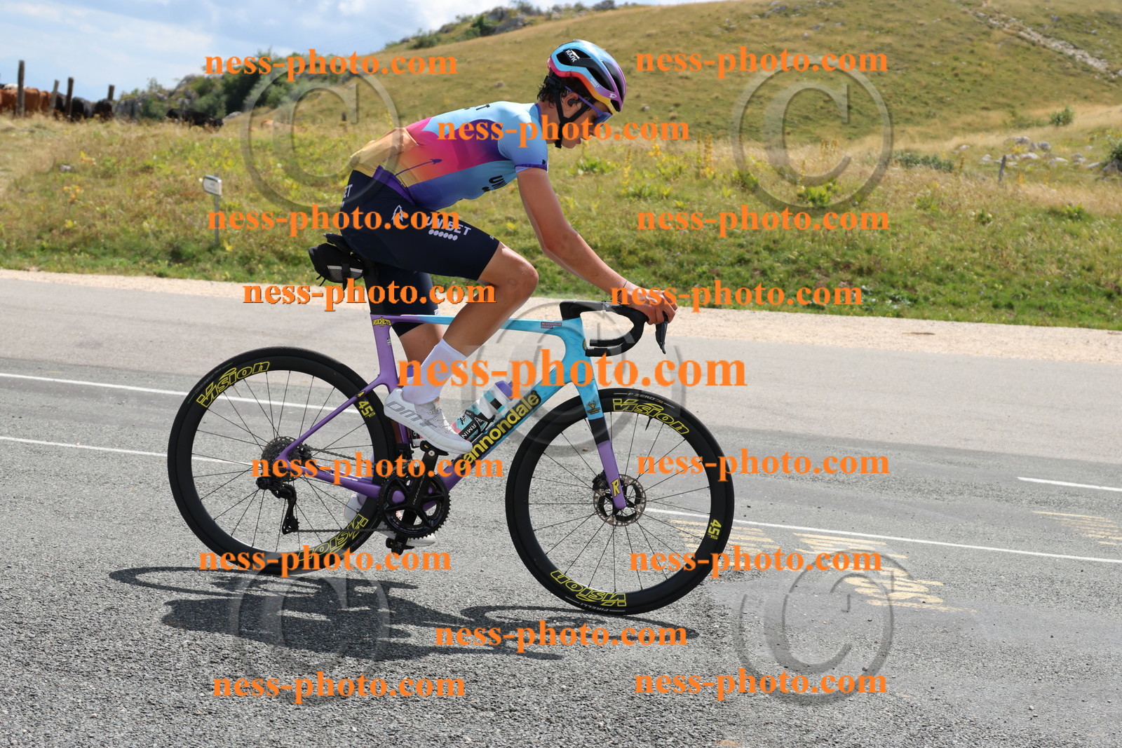 Col du Grand Colombier (259).JPG