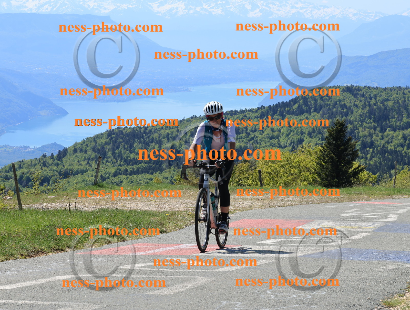 Col du grand Colombier (38).JPG