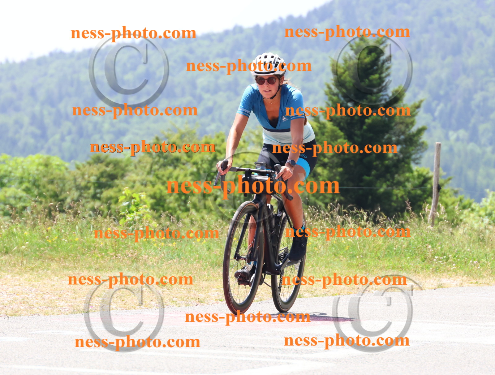 Col du grand Colombier (2544).JPG