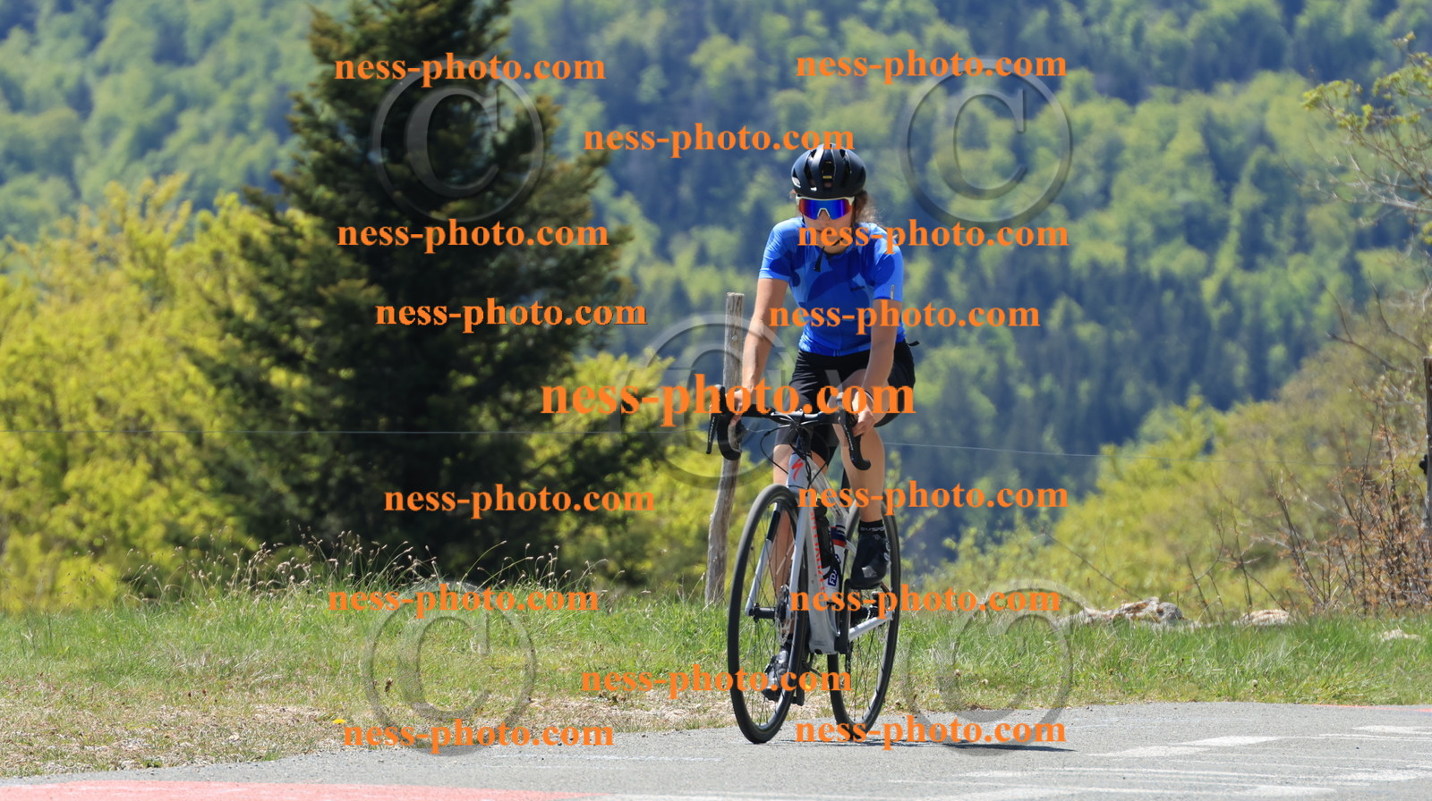 Col du grand Colombier (82).JPG